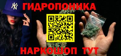 дмт Дубна