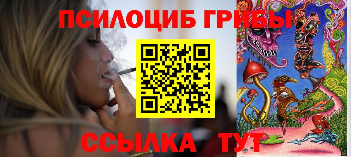 закладка  Псилоцибиновые грибы Psilocybe  Волоколамск  Вход с VPN  Псилоцибиновые грибы прущие грибы 