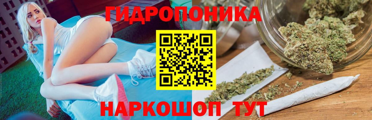 Шишки марихуана Ganja  Вход с VPN  Волоколамск  Бошки марихуана Amnesia  Марихуана Bruce Banner 